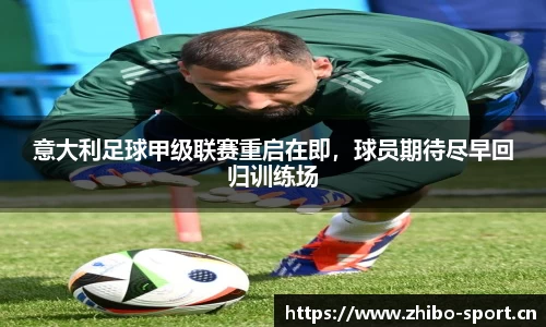 智博体育