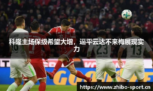 智博体育官网