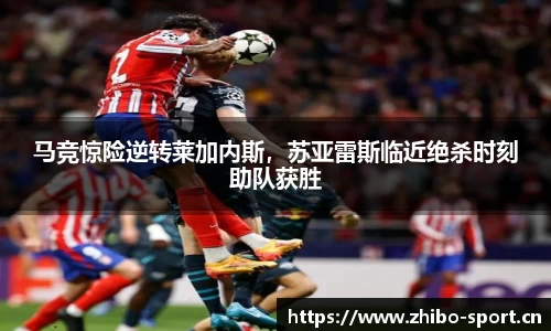 智博体育官方网站
