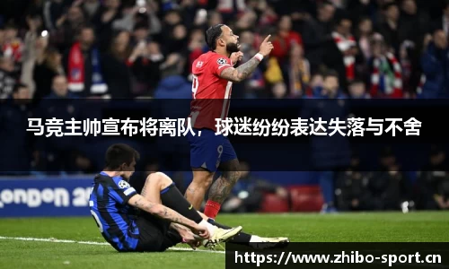 智博体育