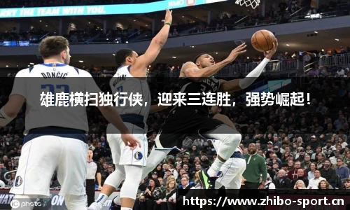 智博体育