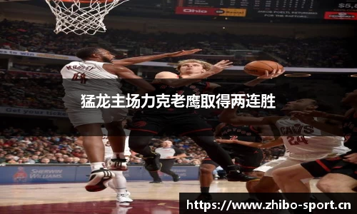 智博体育