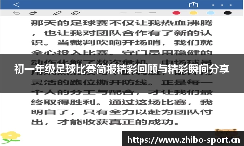 智博体育