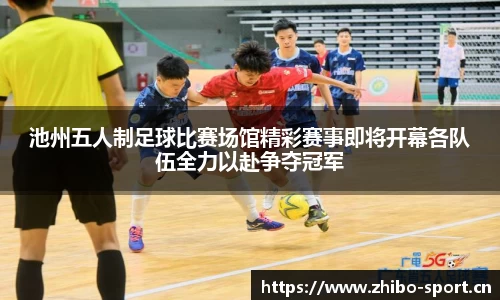 智博体育