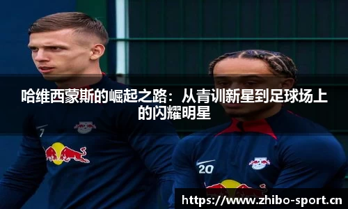 智博体育官网